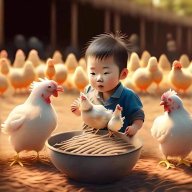 龙@的天空