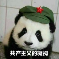极东之虎